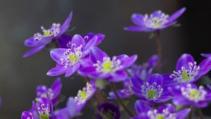 【婚活成功体験談】自信を持つことが大事【29歳女性】